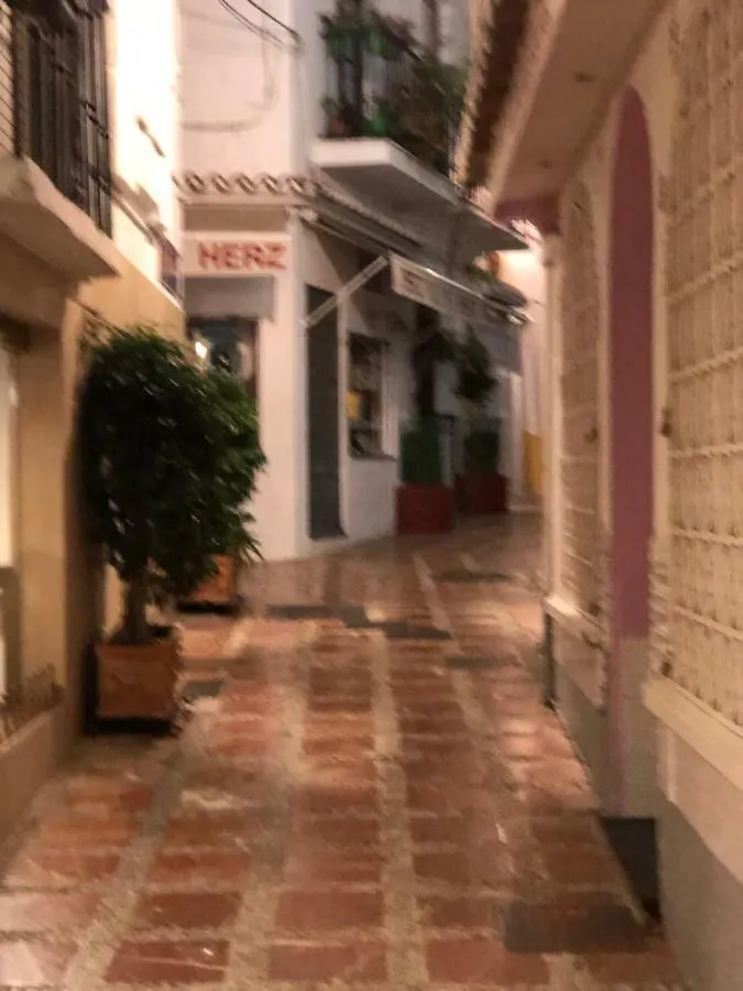 Apartamento Parque Alameda Marbella 0*,